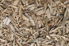 biomass boilers Coxgreen